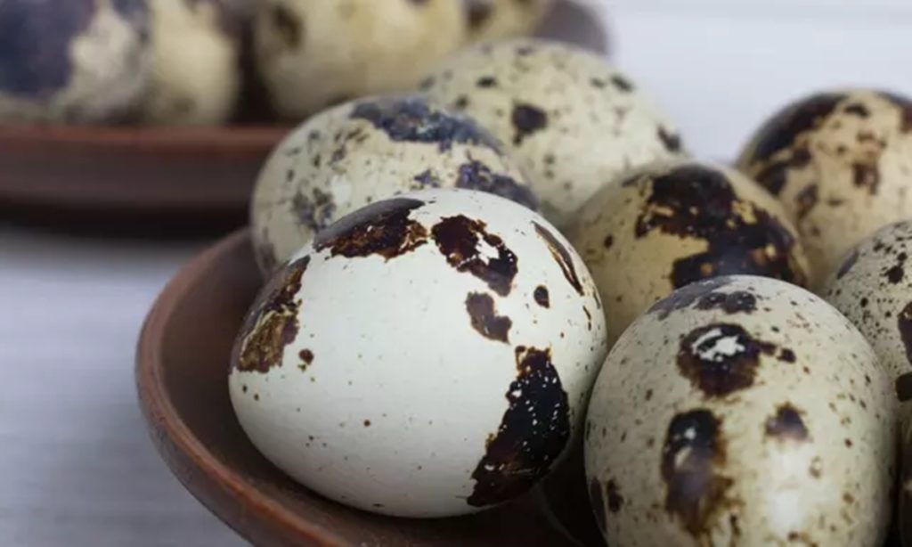 4 Dampak Buruk Konsumsi Telur Puyuh Berlebihan bagi Kesehatan