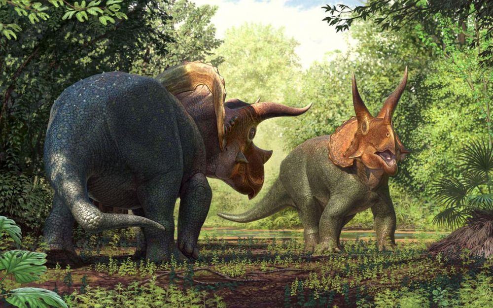 6 Dinosaurus dengan Bentuk