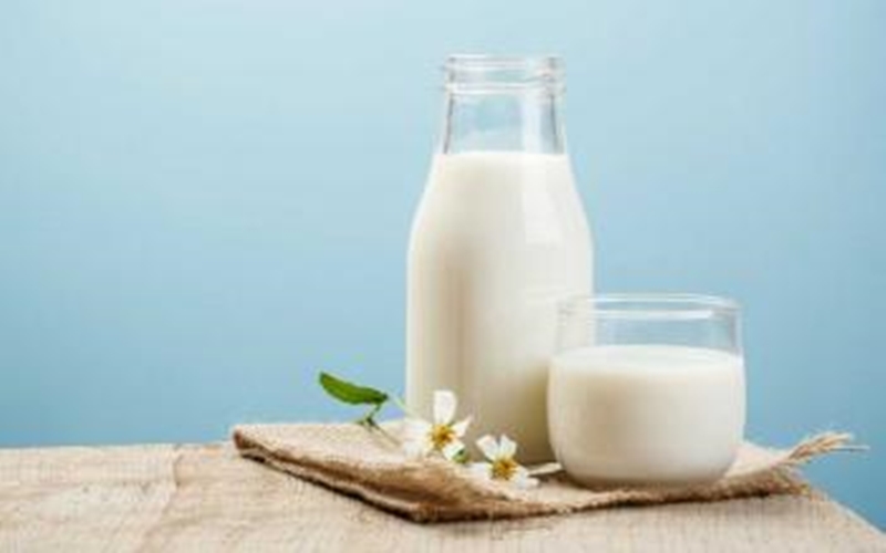 6 Manfaat Minum Susu Sapi Setiap Hari
