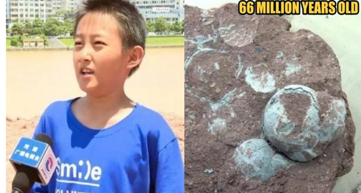 Bocah Ini Temukan 11 Telur Dinosaurus Ketika Bermain di Tepi Sungai