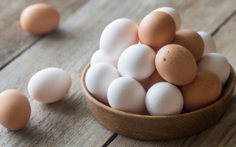 Telur Jadi Makanan Paling Sehat di Dunia