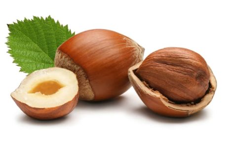 Kacang Hazelnut Mampu Menurunkan Kadar Kolesterol Darah.