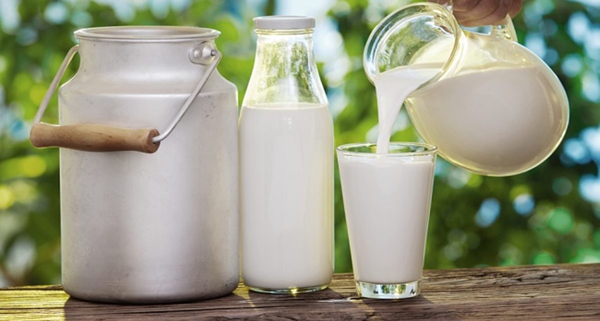 10 Manfaat Susu Murni untuk Kesehatan, Tak Cuma Buat Tulang