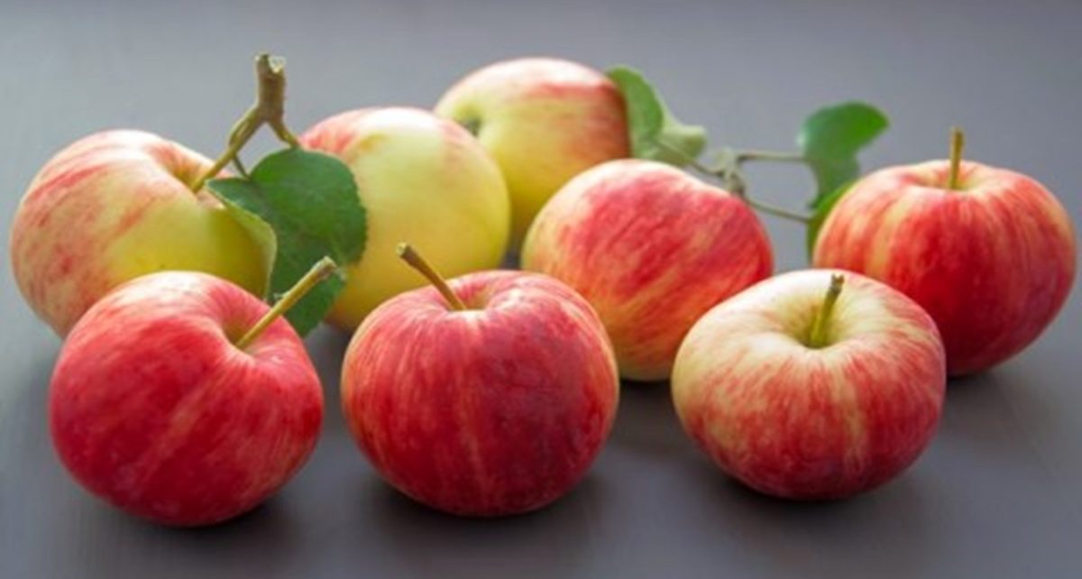 7 Manfaat Makan Apel dengan Kulitnya bagi Kesehatan