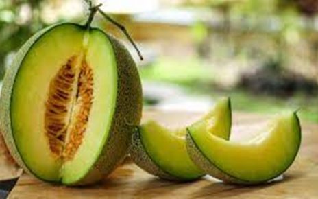 10 Manfaat Melon untuk Kesehatan Tubuh, Salah Satunya Bisa Cegah Kanker