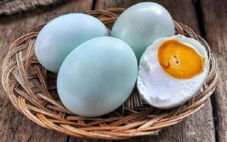 Beragam Manfaat Kuning Telur Bebek bagi Tubuh