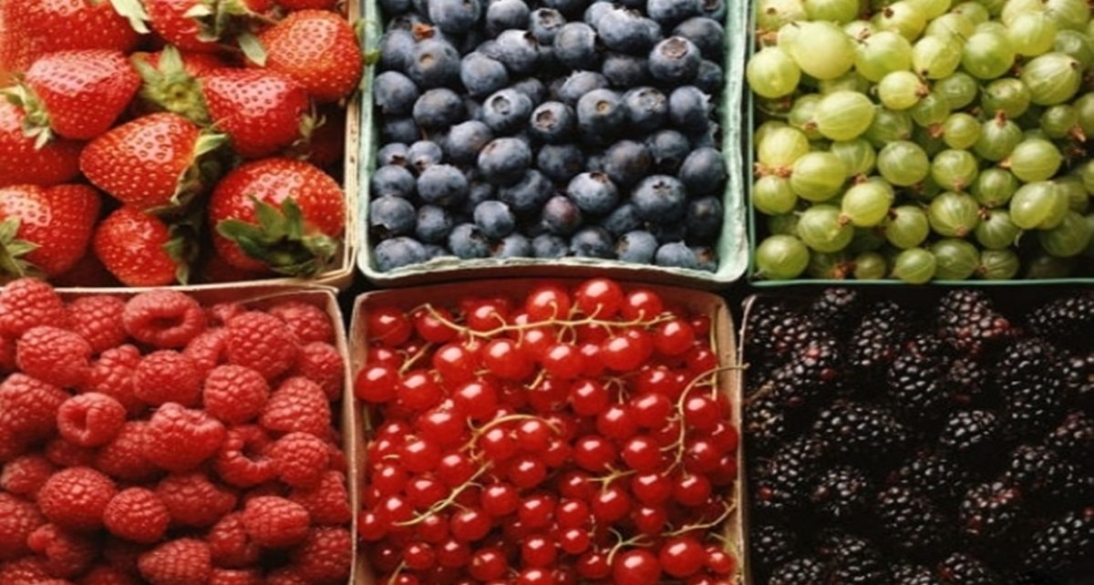 6 Macam Buah Berry dan Manfaatnya untuk Tubuh, Tinggi Antioksidan