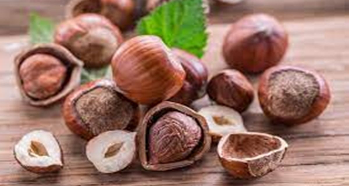 10 Manfaat Kacang Hazelnut untuk Kesehatan, Ampuh Turunkan Risiko Kanker