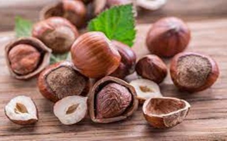 10 Manfaat Kacang Hazelnut untuk Kesehatan, Ampuh Turunkan Risiko Kanker