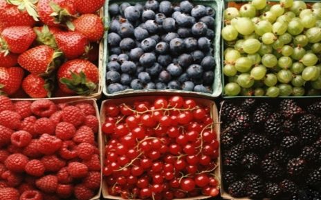 6 Macam Buah Berry dan Manfaatnya untuk Tubuh, Tinggi Antioksidan