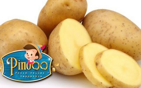 kentang dapat melawan radikal bebas, mari kita simak 5 manfaat kentang untuk kesehatan