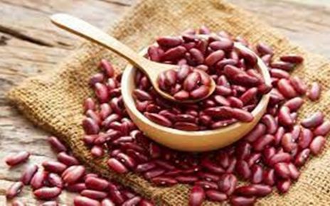 6 Manfaat Kacang Merah untuk Diet dan Atasi Penyakit Berbahaya
