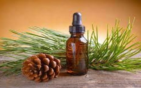 9 Manfaat Minyak Pinus untuk Kesehatan dan Kecantikan