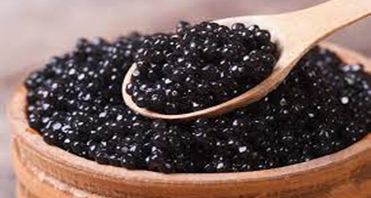 5 Manfaat Caviar bagi Kesehatan Tubuh, Bantu Perkuat Sistem Kekebalan