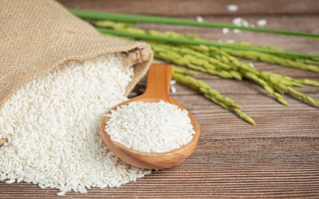 6 Olahan Makanan Lezat dari Beras Bisa Sebagai Pengganti Nasi