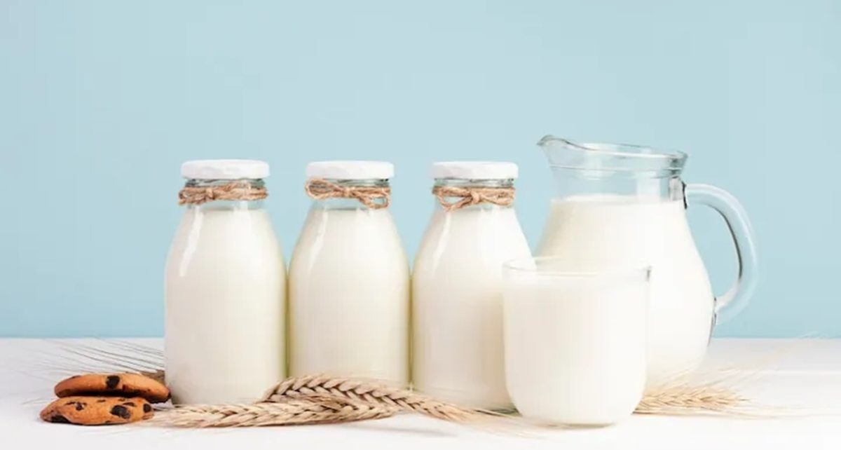 5 Manfaat Susu Kambing Etawa bagi Kesehatan