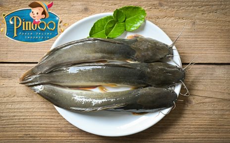 10 Manfaat Ikan Lele untuk Kesehatan