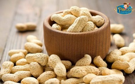 5 Manfaat Menakjubkan Kacang Tanah Bagi Kesehatan Tubuh
