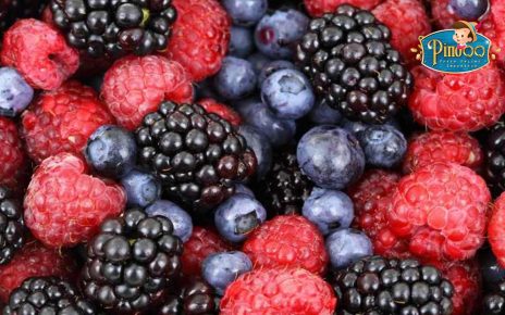 6 Macam Buah Berry dan Manfaatnya untuk Tubuh