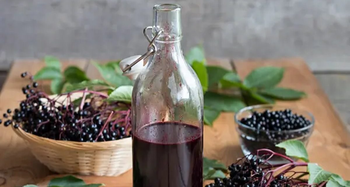 Manfaat Buah Elderberry Untuk Kesehatan