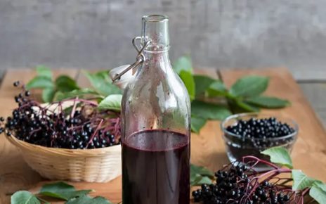 Manfaat Buah Elderberry Untuk Kesehatan