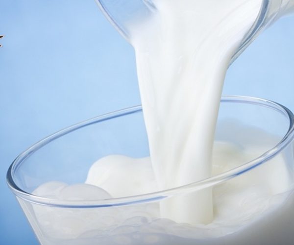 5 Manfaat Susu Kambing untuk Kesehatan